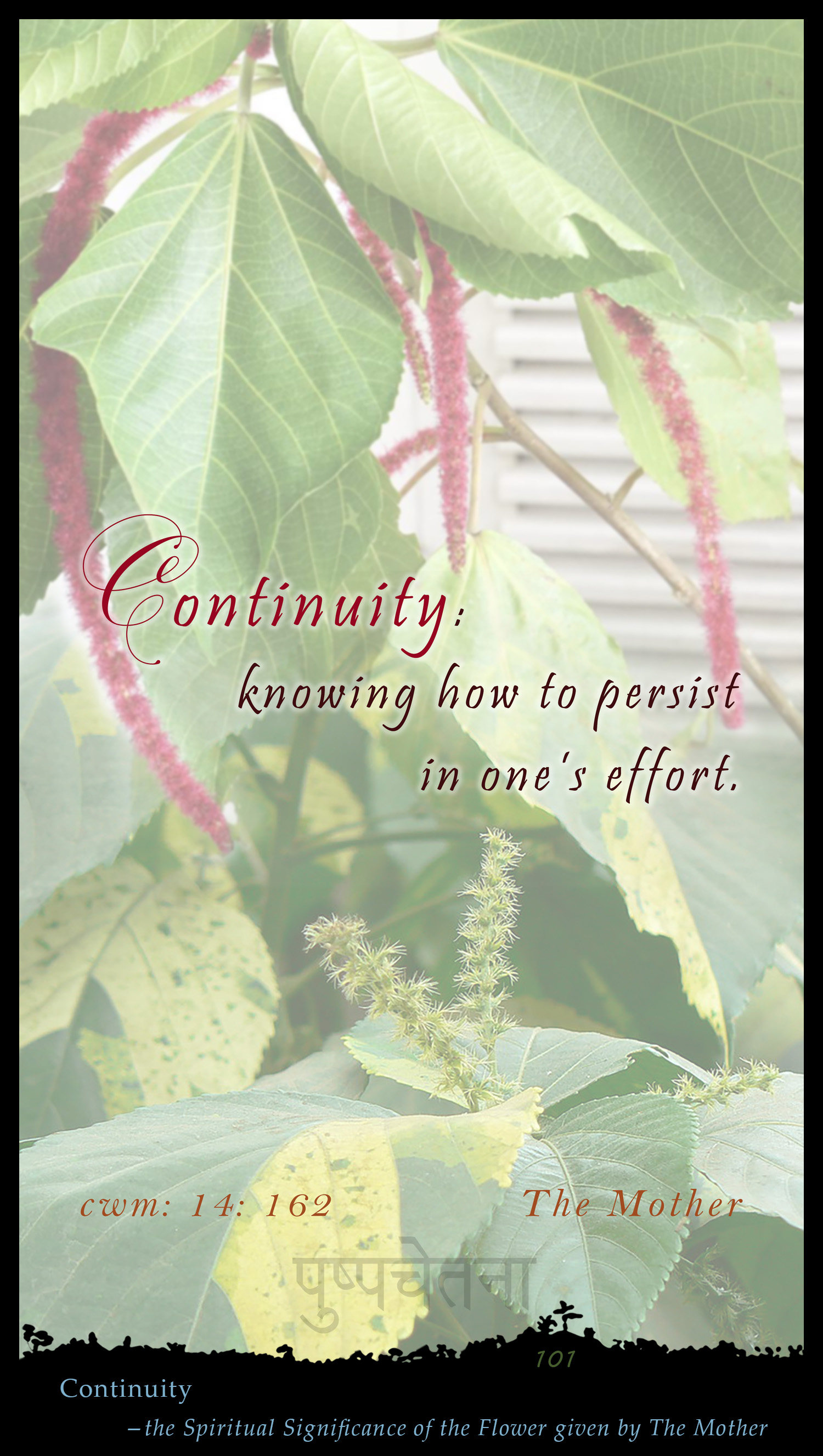 Continuty